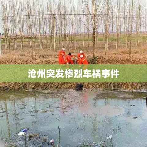 滄州突發慘烈車禍事件