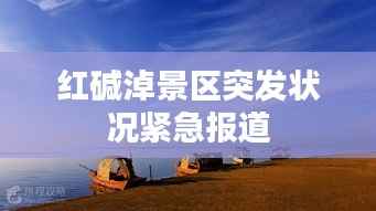 紅堿淖景區突發狀況緊急報道