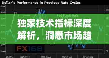 獨(dú)家技術(shù)指標(biāo)深度解析，洞悉市場趨勢的關(guān)鍵秘籍