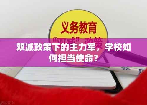雙減政策下的主力軍，學校如何擔當使命？