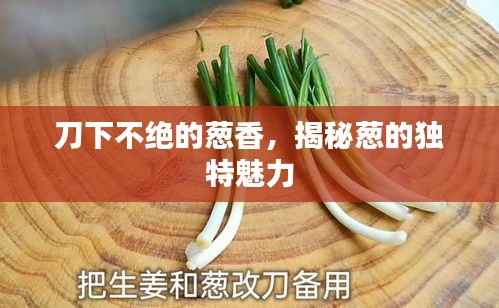刀下不絕的蔥香，揭秘蔥的獨特魅力