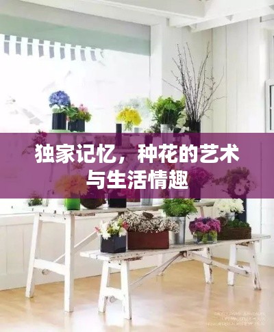 獨家記憶，種花的藝術(shù)與生活情趣