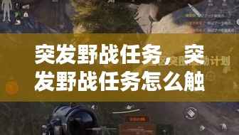 突發野戰任務，突發野戰任務怎么觸發 