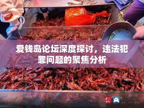 愛錢島論壇深度探討，違法犯罪問題的聚焦分析