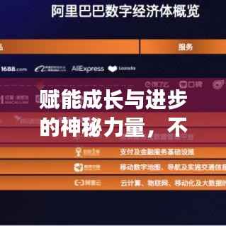 衣不重采 第5頁