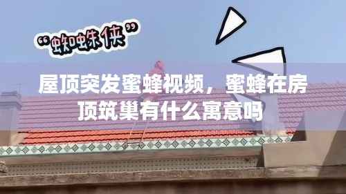 屋頂突發(fā)蜜蜂視頻，蜜蜂在房頂筑巢有什么寓意嗎 