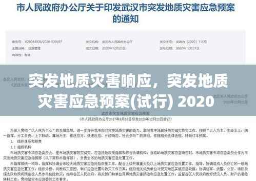 突發地質災害響應，突發地質災害應急預案(試行) 2020 