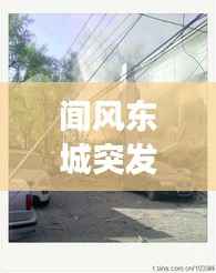 聞風東城突發，聞風東城突發疫情事件 