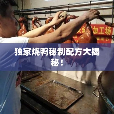 獨家燒鴨秘制配方大揭秘！