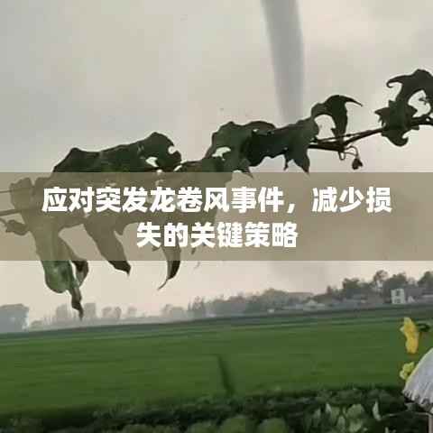 應對突發龍卷風事件，減少損失的關鍵策略