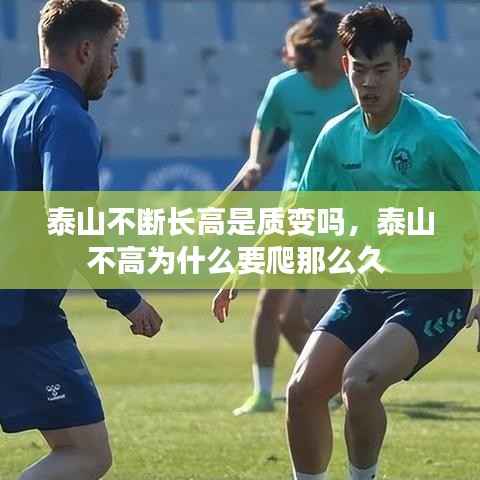 泰山不斷長高是質變嗎，泰山不高為什么要爬那么久 