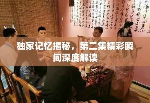 獨家記憶揭秘，第二集精彩瞬間深度解讀