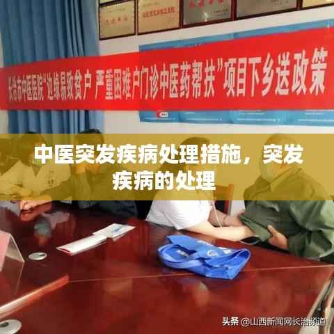 中醫突發疾病處理措施，突發疾病的處理 