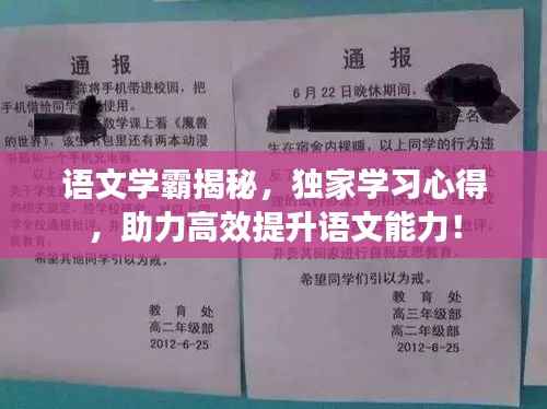 語文學霸揭秘，獨家學習心得，助力高效提升語文能力！
