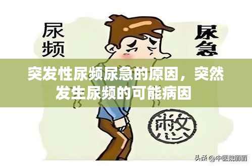 突發性尿頻尿急的原因，突然發生尿頻的可能病因 