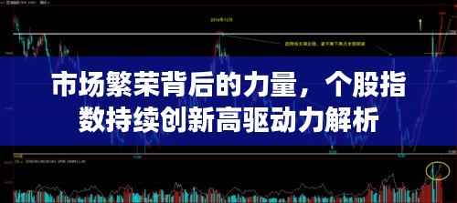 市場繁榮背后的力量，個股指數持續創新高驅動力解析