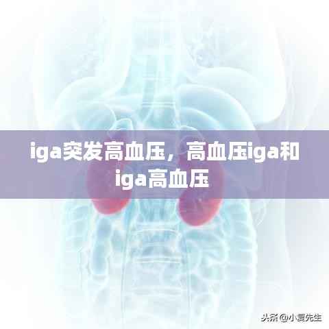 iga突發(fā)高血壓，高血壓iga和iga高血壓 