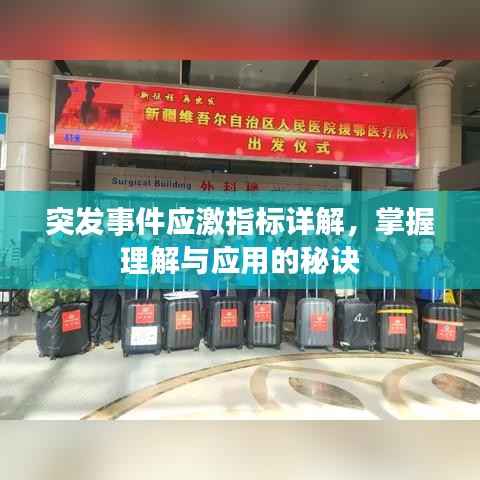 突發事件應激指標詳解，掌握理解與應用的秘訣