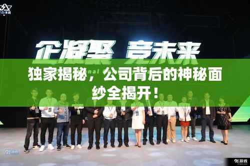 獨家揭秘，公司背后的神秘面紗全揭開！
