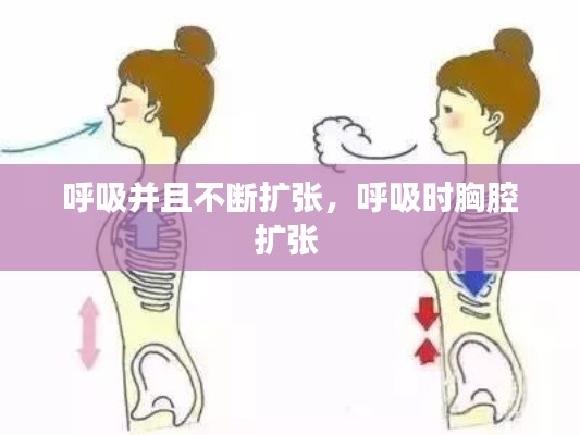 呼吸并且不斷擴張，呼吸時胸腔擴張 