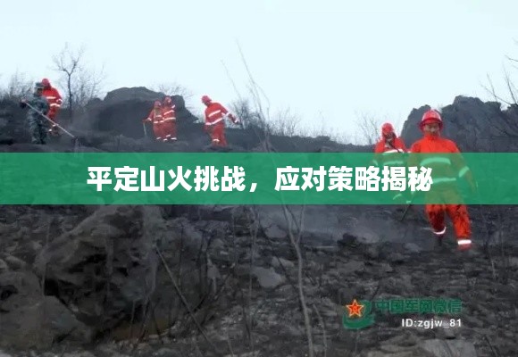 平定山火挑戰，應對策略揭秘