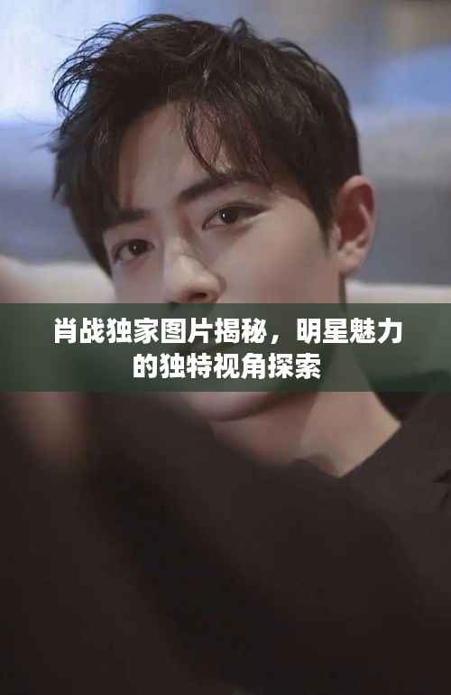 肖戰獨家圖片揭秘，明星魅力的獨特視角探索