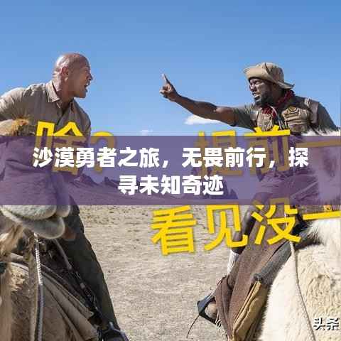 沙漠勇者之旅，無畏前行，探尋未知奇跡