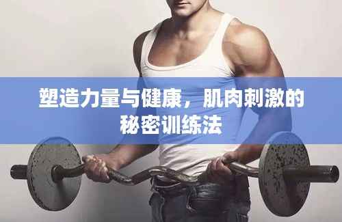 塑造力量與健康，肌肉刺激的秘密訓練法