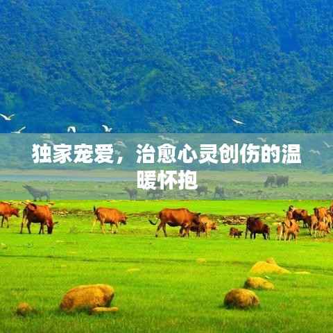 獨家寵愛，治愈心靈創傷的溫暖懷抱