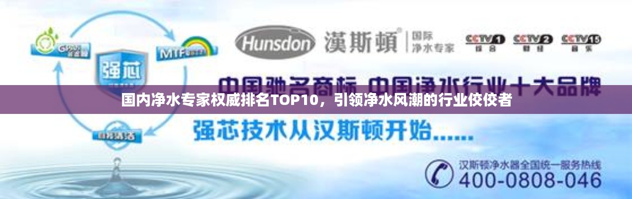 國內凈水專家權威排名TOP10，引領凈水風潮的行業佼佼者