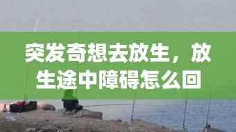 突發奇想去放生，放生途中障礙怎么回事 