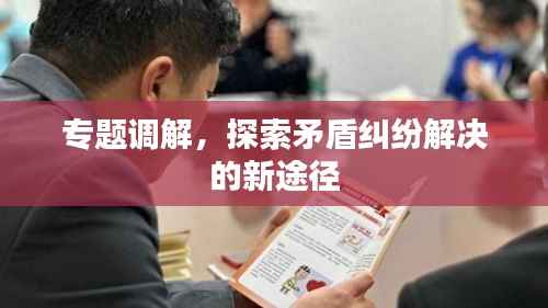 專題調(diào)解，探索矛盾糾紛解決的新途徑