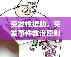 突發性援助，突發事件救治原則 