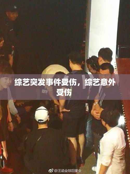 綜藝突發事件受傷，綜藝意外受傷 