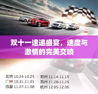 雙十一速遞盛宴，速度與激情的完美交響