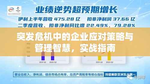 突發(fā)危機(jī)中的企業(yè)應(yīng)對策略與管理智慧，實(shí)戰(zhàn)指南