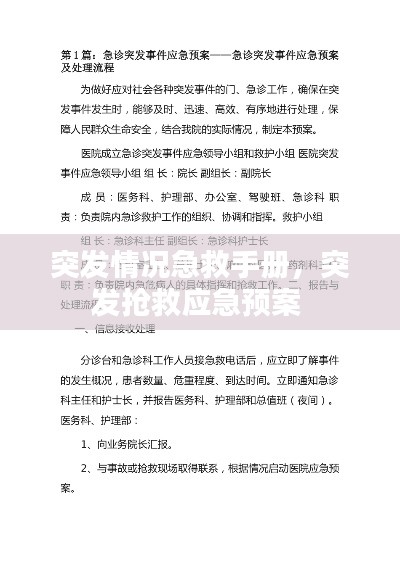 突發情況急救手冊，突發搶救應急預案 