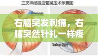 右腦突發刺痛，右腦突然針扎一樣疼 