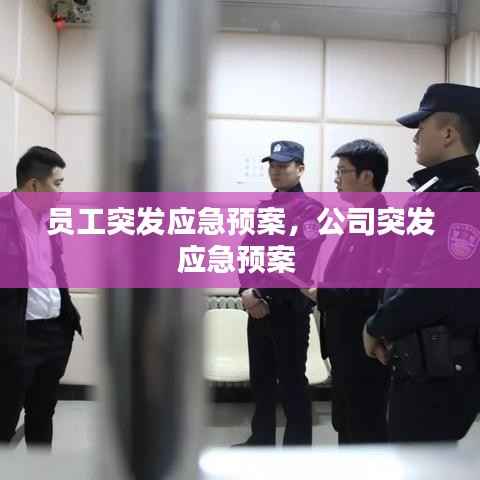 員工突發應急預案，公司突發應急預案 