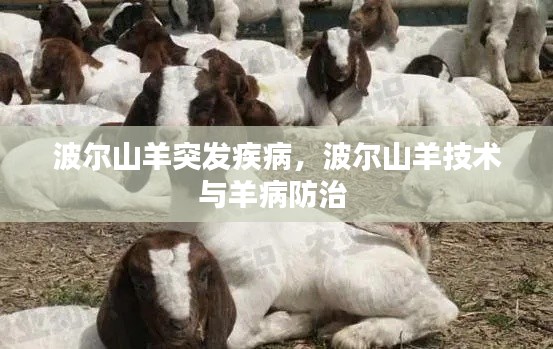 波爾山羊突發疾病，波爾山羊技術與羊病防治 