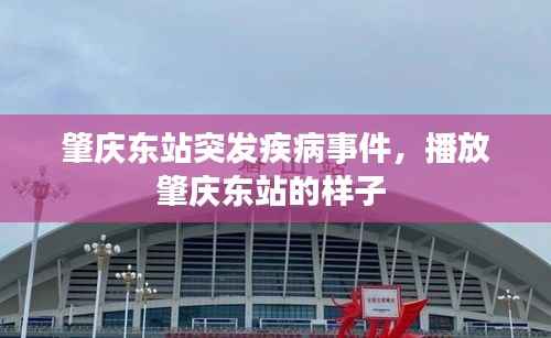 肇慶東站突發(fā)疾病事件，播放肇慶東站的樣子 