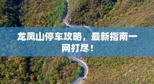 龍鳳山停車攻略，最新指南一網打盡！
