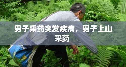 男子采藥突發疾病，男子上山采藥 
