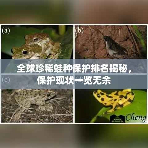 全球珍稀蛙種保護排名揭秘，保護現狀一覽無余
