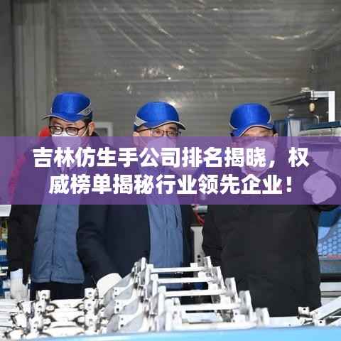 吉林仿生手公司排名揭曉，權威榜單揭秘行業領先企業！