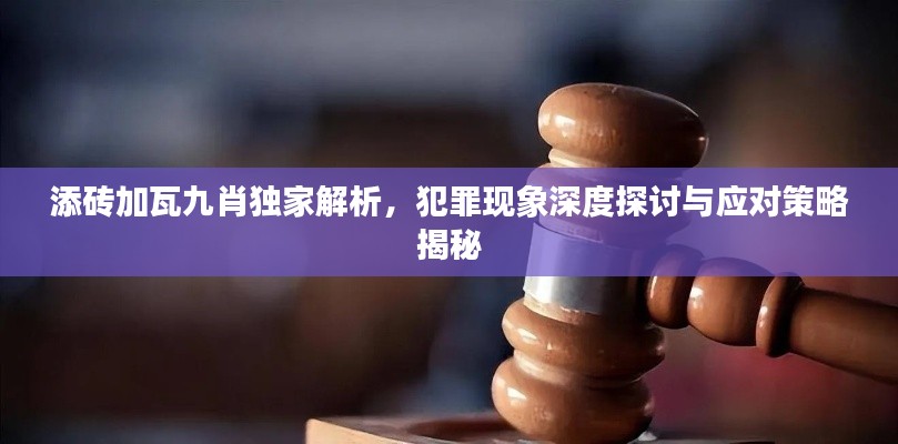 添磚加瓦九肖獨家解析，犯罪現象深度探討與應對策略揭秘