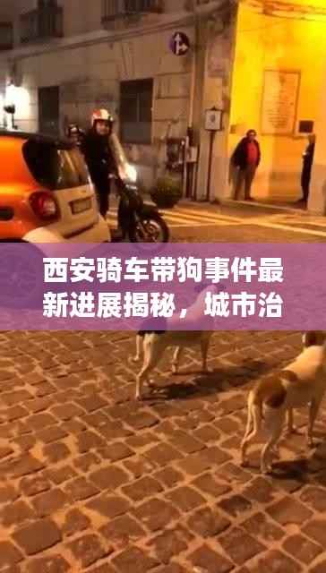 西安騎車帶狗事件最新進展揭秘，城市治理新動向引發關注