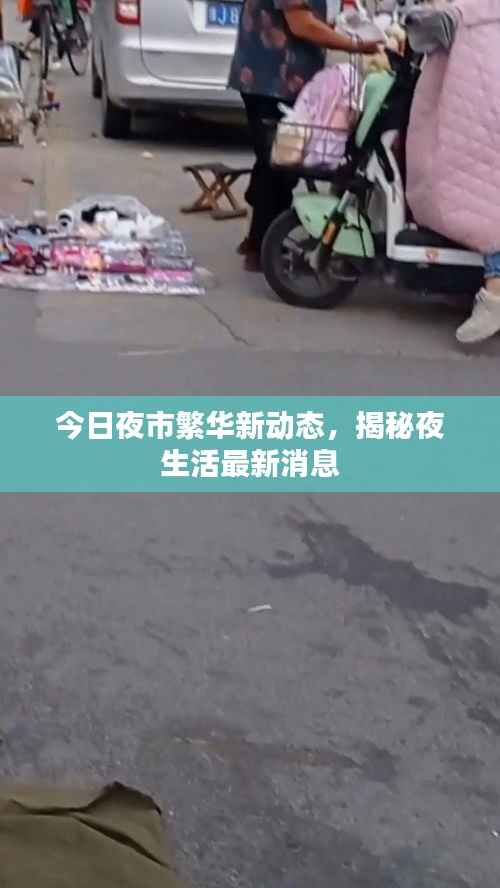 今日夜市繁華新動態，揭秘夜生活最新消息
