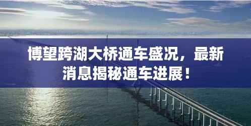 博望跨湖大橋通車盛況，最新消息揭秘通車進展！