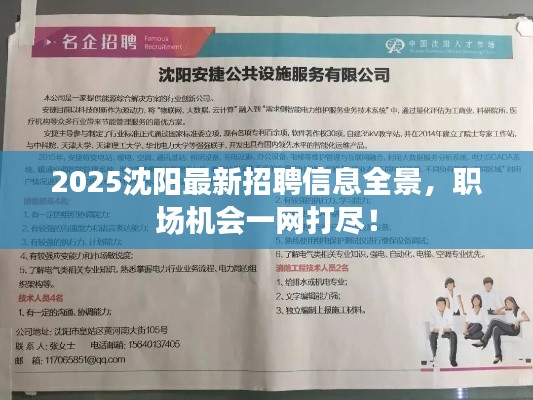 2025沈陽最新招聘信息全景，職場機會一網打盡！